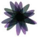 Picture, Starburst